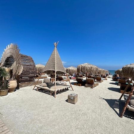 Dodo Apartament Mamaia Nord Năvodari Eksteriør bilde
